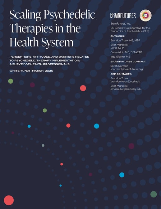 Scaling-Psychedelic-Therapies-in-the-Health-System-1