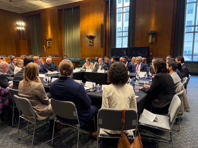 VA Roundtable 3